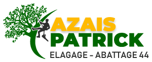 elagage-azais-patrick